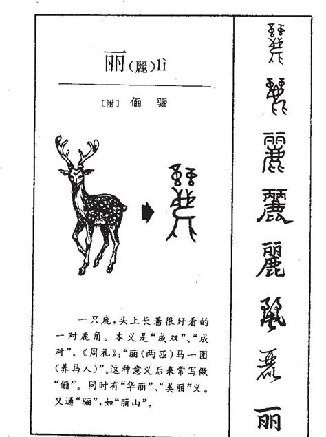 19畫的字|笔画19画的字